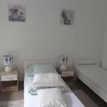 Lesne Zacisze 88 Nad Jeziorem Narie Z Wlasnymi Pomostami Sezonowe Lato