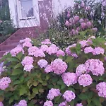Lesne Zacisze 88 Nad Jeziorem Narie Z Wlasnymi Pomostami Sezonowe Lato كريتويني