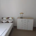 Lesne Zacisze 88 Nad Jeziorem Narie Z Wlasnymi Pomostami Sezonowe Lato