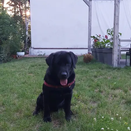 Appartement Lesne Zacisze Kretowiny