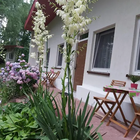 Lesne Zacisze 88 Nad Jeziorem Narie Z Wlasnymi Pomostami Sezonowe Lato شقة كريتويني