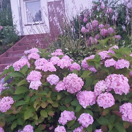 Lesne Zacisze Kretowiny