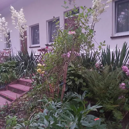 Lesne Zacisze Appartement